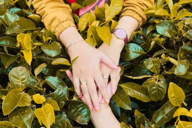 【YES・NOで決着】あの人と結ばれる未来はある?