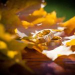 恋人できる/交際叶う【恋縁結ぶ霊視】今あなたと交際希望の異性