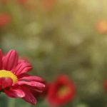 会いたい/寂しい≪あの人も同じ気持ち？≫2人の絆/あなたの存在