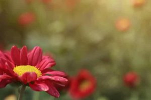 会いたい/寂しい≪あの人も同じ気持ち?≫2人の絆/あなたの存在