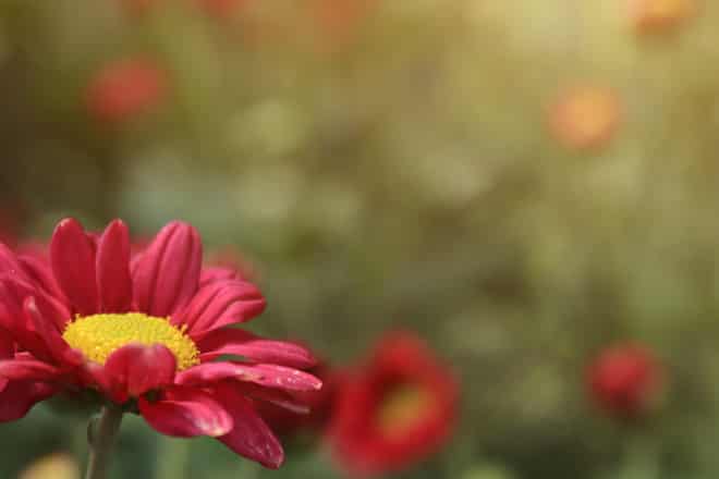 会いたい/寂しい≪あの人も同じ気持ち?≫2人の絆/あなたの存在