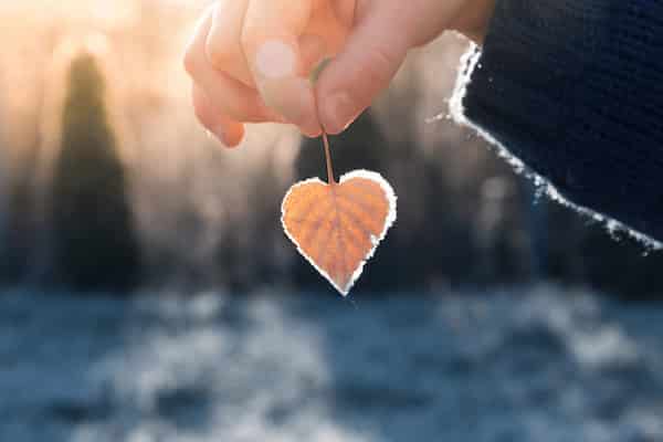 【厳しい結果でも現実知りたい方へ】あの人が隠す本心・次の行動