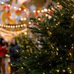 私はこんなに好きなのに【素っ気ないあの人】迷い⇒恋決断