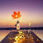 陸奥の霊媒師が視る【あなたの結婚縁】運命の相手の特徴