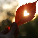 あの人との相性は良い？【恋愛・結婚・体】あの人との全相性