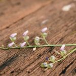 歳の差恋愛「私は彼女候補として見られてる？」交際可能性