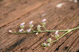 歳の差恋愛「私は彼女候補として見られてる？」交際可能性