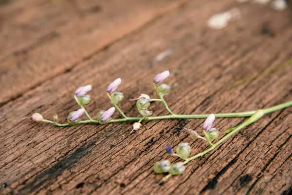 歳の差恋愛「私は彼女候補として見られてる？」交際可能性