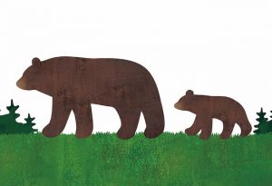 夢占い｜熊の夢の意味とは？襲われる・隠れるなど状況別の暗示35選