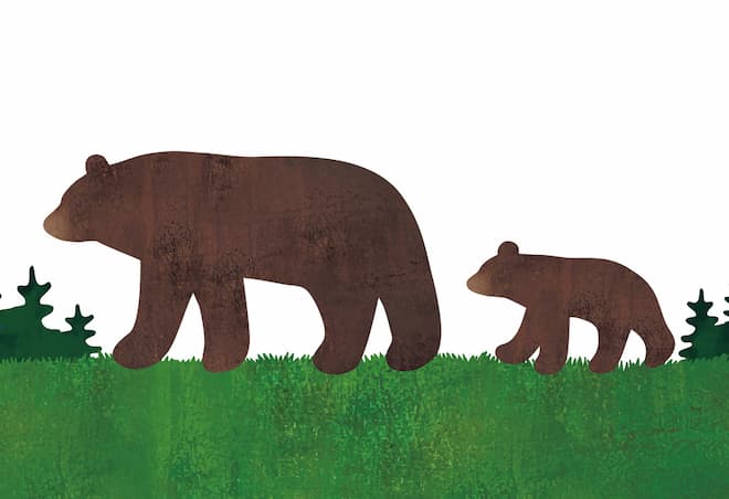 夢占い｜熊の夢の意味とは？襲われる・隠れるなど状況別の暗示35選