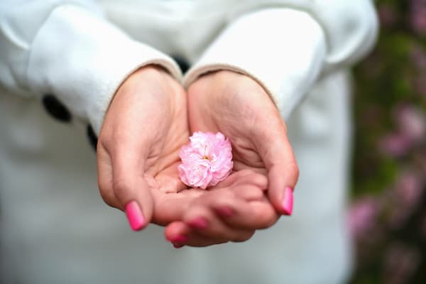 あと一押し？もうだめ？【あの人との恋見極めます】進展の予感