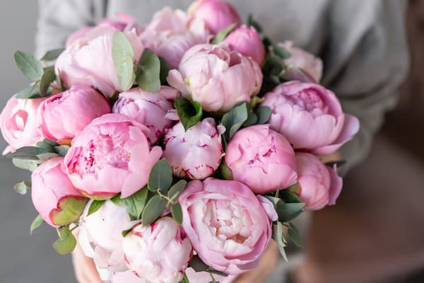 脈薄恋も両想いへ「あの人のあなたへの感情・距離感」相性率