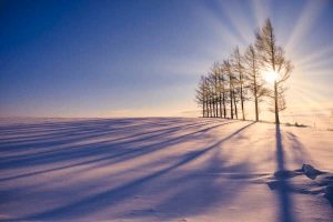 つれない態度のあの人◆迷惑だと思ってる？あなたへの想い