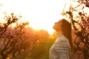 先祖を辿り暴く【あなたに備わった気質】才能/得る幸福