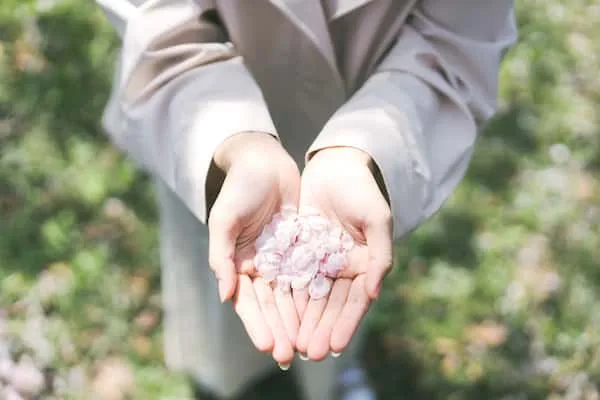 諦める覚悟はできている。あの人はこの恋どうしたいの?脈