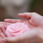 【それでも聞く？】粘りに粘った片想い◆相手が固めた決意・最後