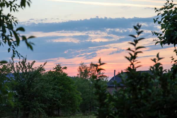泣ける場所で見て。確定済の二人の恋行方≪現状/次展開/最後≫