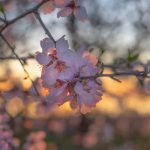 不倫復縁◆やっぱり家庭に落ち着く？あの人の思惑・本心