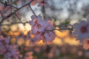 不倫復縁◆やっぱり家庭に落ち着く？あの人の思惑・本心