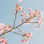 隠れた秘密も全暴露【あの人の本音が視えすぎる】恋脈/思惑