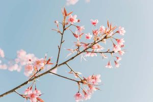 隠れた秘密も全暴露【あの人の本音が視えすぎる】恋脈/思惑