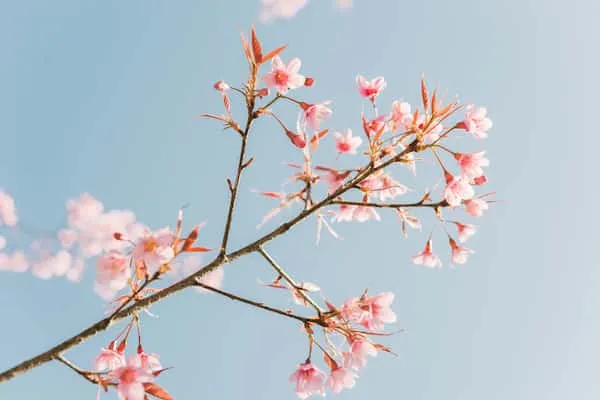 隠れた秘密も全暴露【あの人の本音が視えすぎる】恋脈/思惑