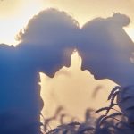 【あの人の気持ちが知りたい】あなたへの気持ち＆優先順位