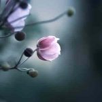 あなたの結婚運は？【全部お視通しの縁結び霊視】予兆