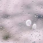 進展なくてヤキモキ…。２人の障害・どんな気持ちを傾けているの？