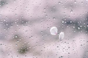 進展なくてヤキモキ…。２人の障害・どんな気持ちを傾けているの？