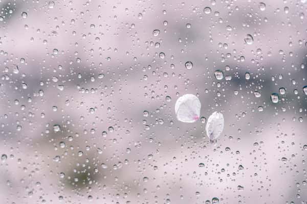 進展なくてヤキモキ…。２人の障害・どんな気持ちを傾けているの？