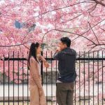 あの人を思うと胸が痛い『私たち付き合えるよね？』恋現状/転機