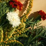 素っ気ない＝その気ない？【脈薄片想い】あの人が隠している想い