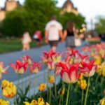 曖昧態度なあの人（私を好き？それとも避けてる？）隠す本心