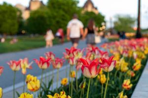 曖昧態度なあの人（私を好き？それとも避けてる？）隠す本心