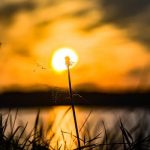 2人の全障壁突破≪愛繋ぎ宿願叶える不倫霊視≫あの人の覚悟/決断