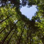 本性露わにする神言降ろし【あの人に備わる気質】向ける想い