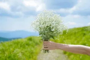2人の宿縁占い≪あの人があなたに抱く本音≫絆・感じてる魅力
