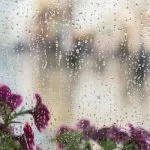 連絡/会う頻度激減【このまま自然消滅？　まだ脈アリ？】彼の真意