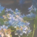 ……脈アリ？　ナシ？　2人の現実を霊視◆あの人の気持ち・絆