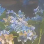 ……脈アリ？　ナシ？　2人の現実を霊視◆あの人の気持ち・絆