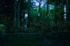 あの人の本音も期待も全て知る20項※あなたへの想い/願望